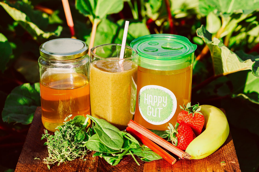 Strawberry Rhubarb Water Kefir Smoothie