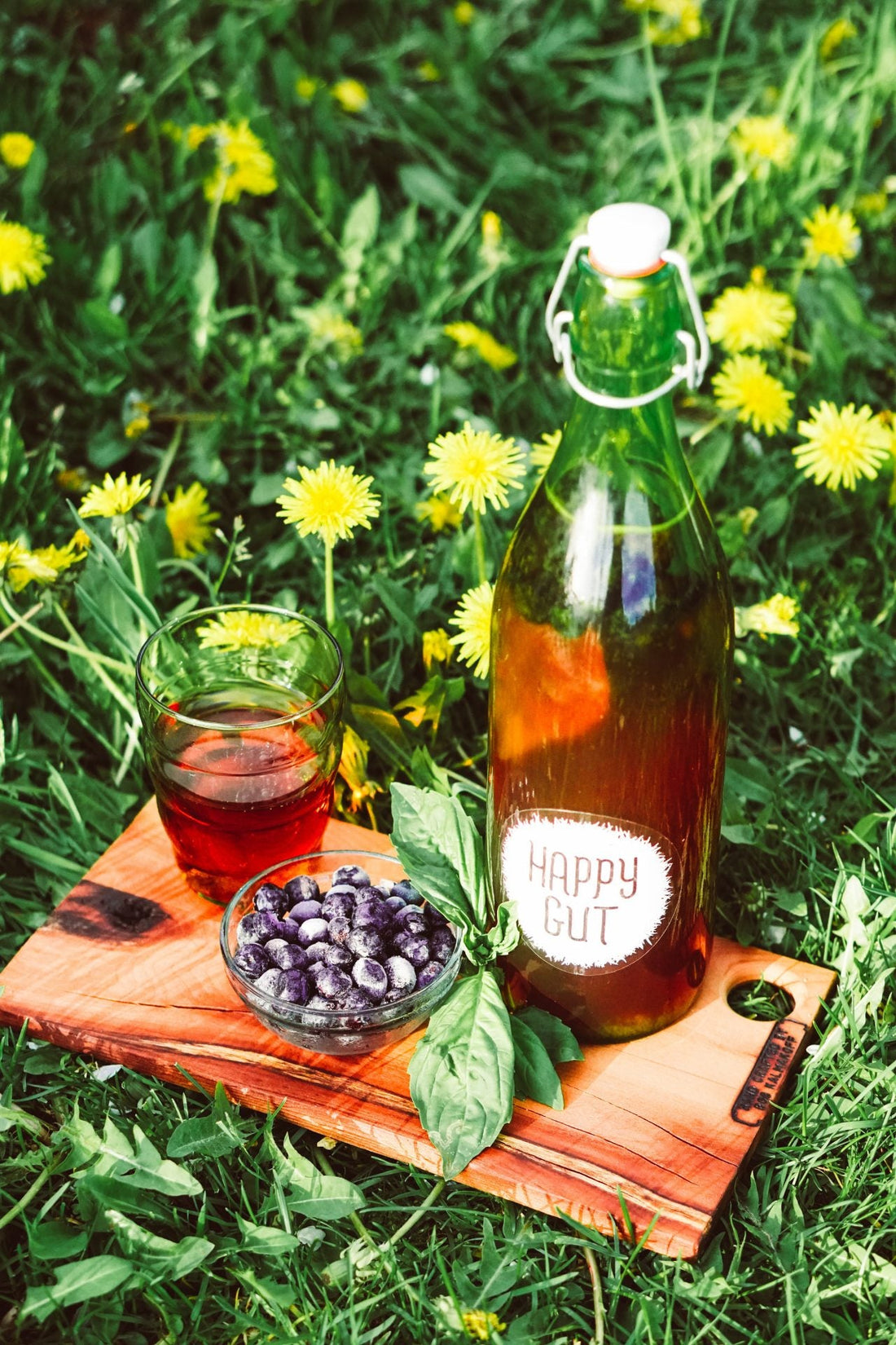 Blueberry Dream Water Kefir Soda Recipe