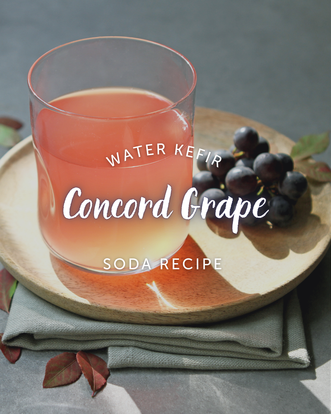 Concord Grape Water Kefir Soda