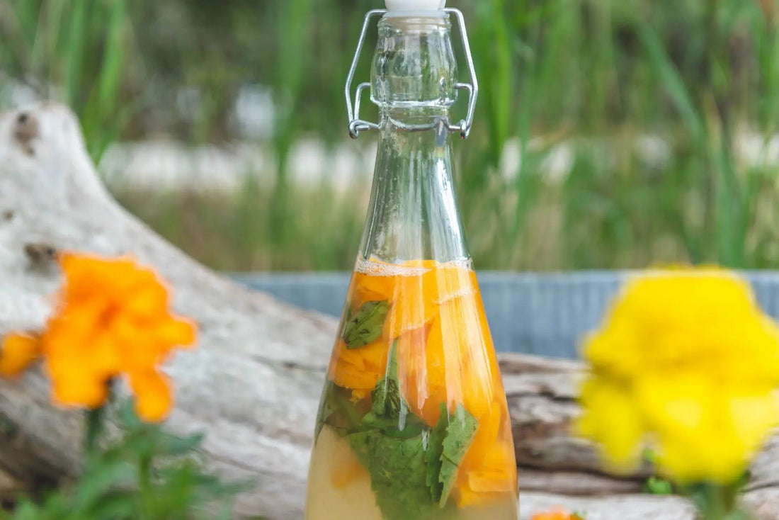 Apricot Basil Water Kefir Soda - Happy Gut Pro
