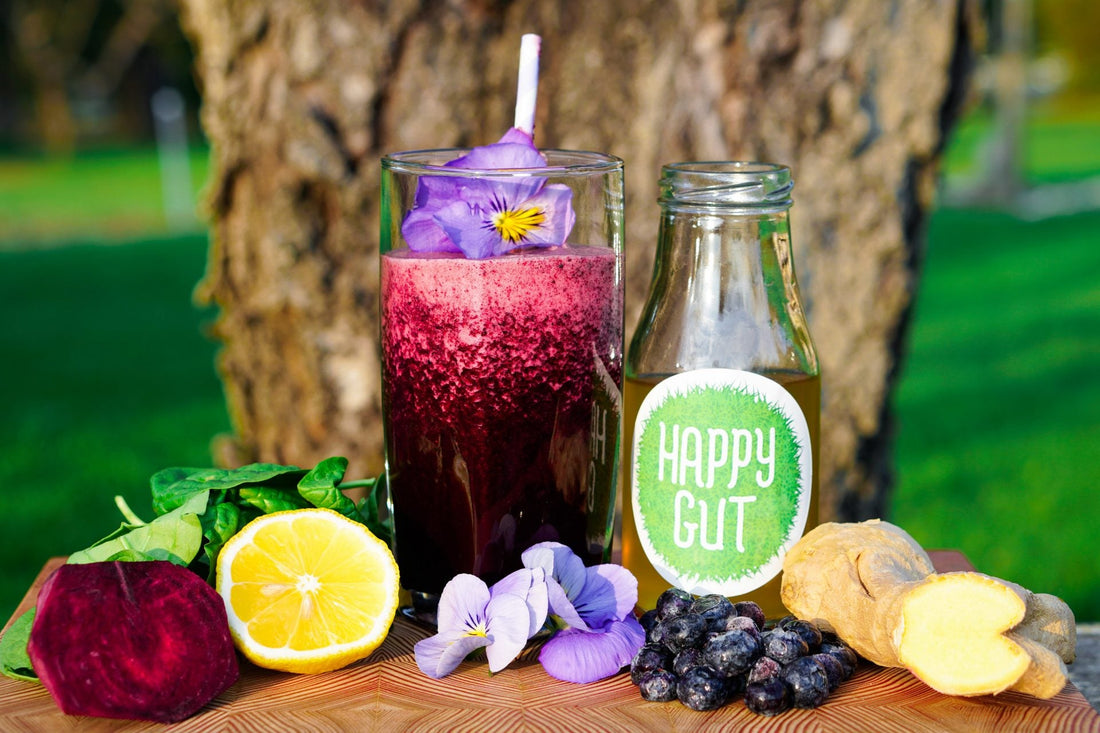Blueberry Dream Water Kefir Smoothie