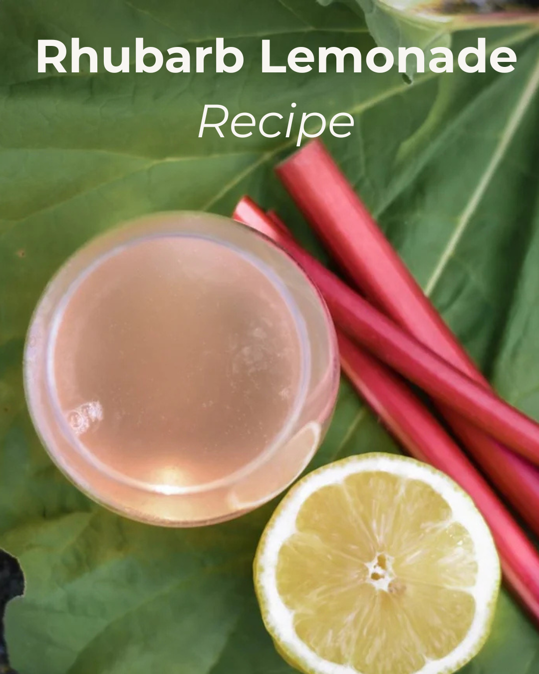 Rhubarb Lemonade Water Kefir Soda Recipe