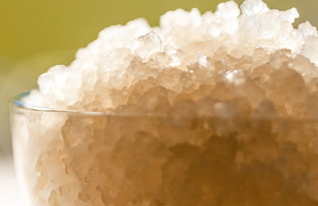 What are the Probiotic Strains In Water Kefir? - Happy Gut Pro