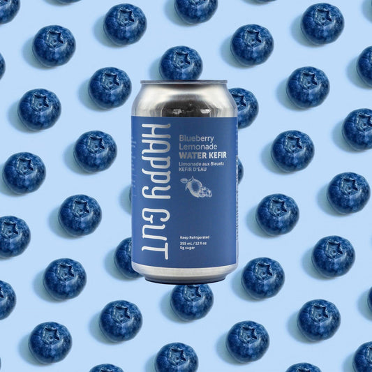 Blueberry Lemonade Canned Water Kefir - Happy Gut Pro