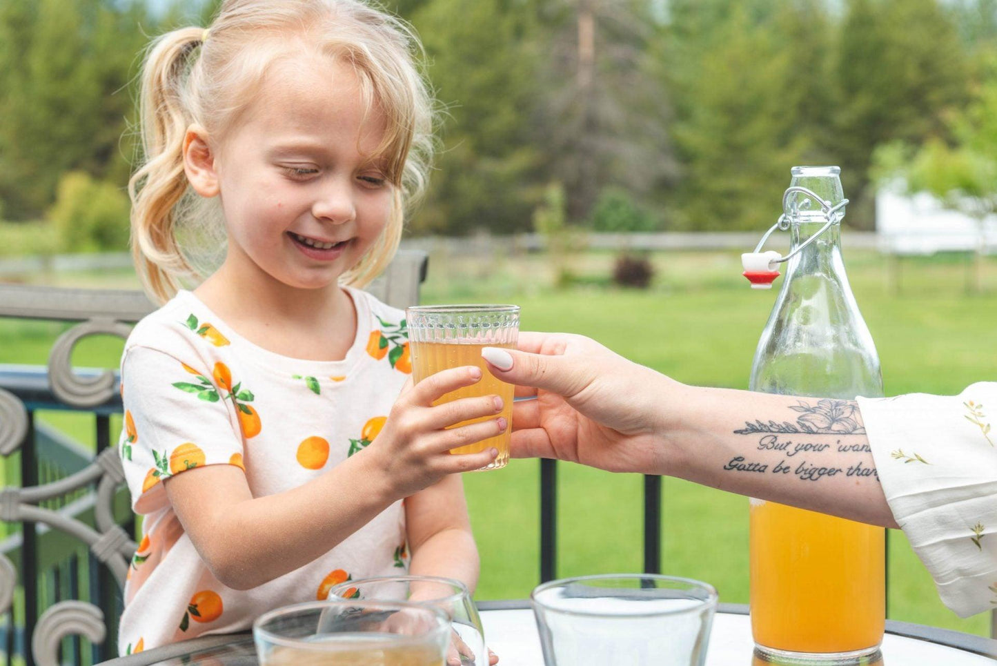 Family Size Water Kefir Fermentation Starter Kit - Happy Gut Pro