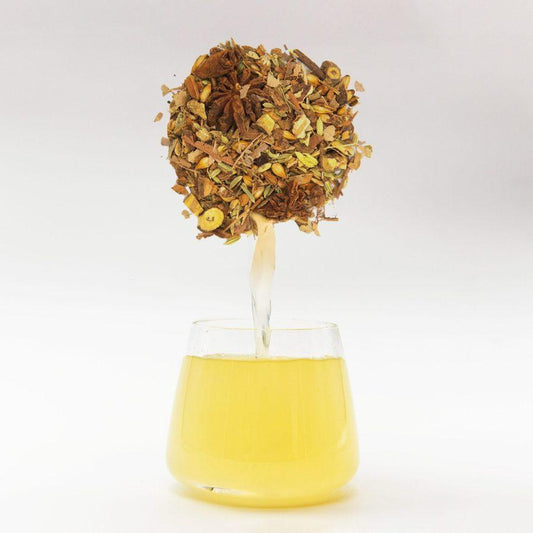 Root Beer Canned Water Kefir - Happy Gut Pro