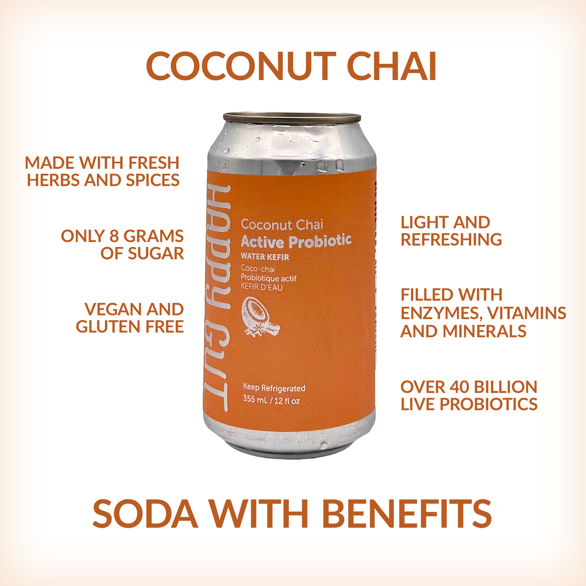 Coconut Chai Canned Water Kefir