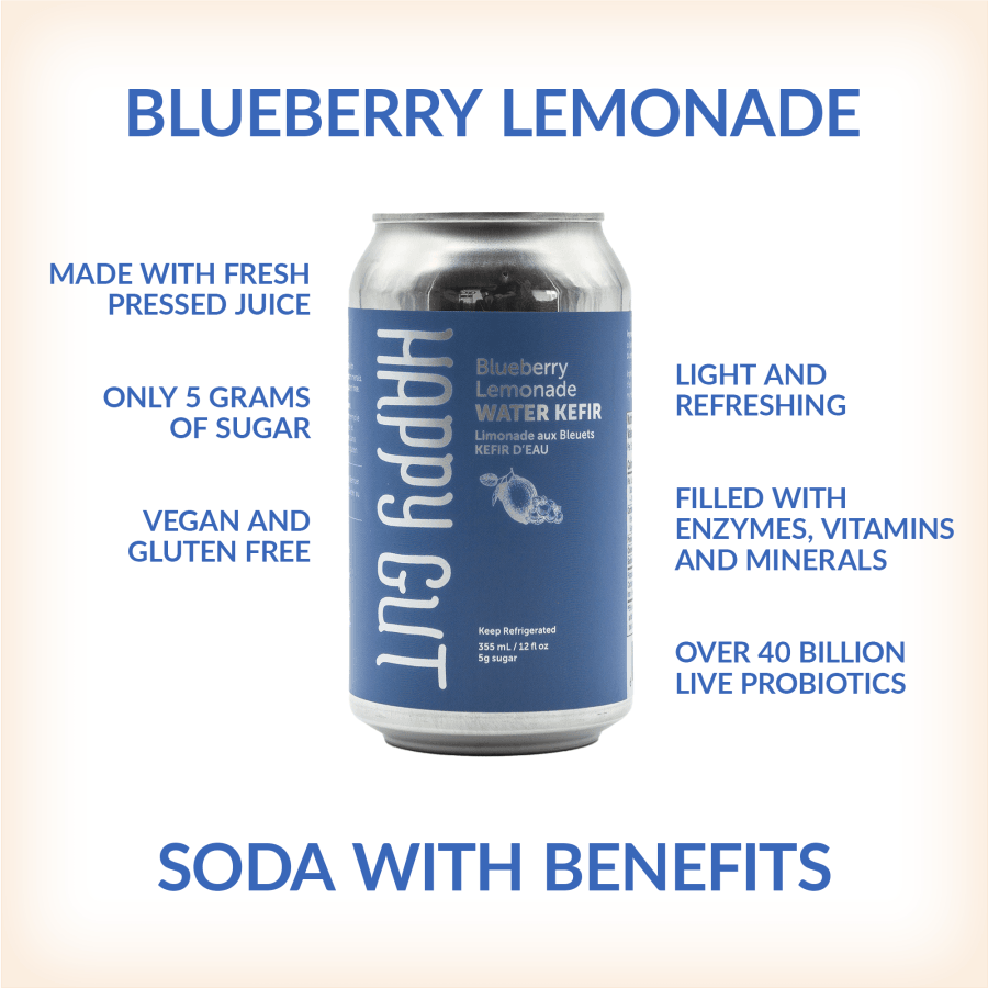 Blueberry Lemonade Canned Water Kefir - Happy Gut Pro