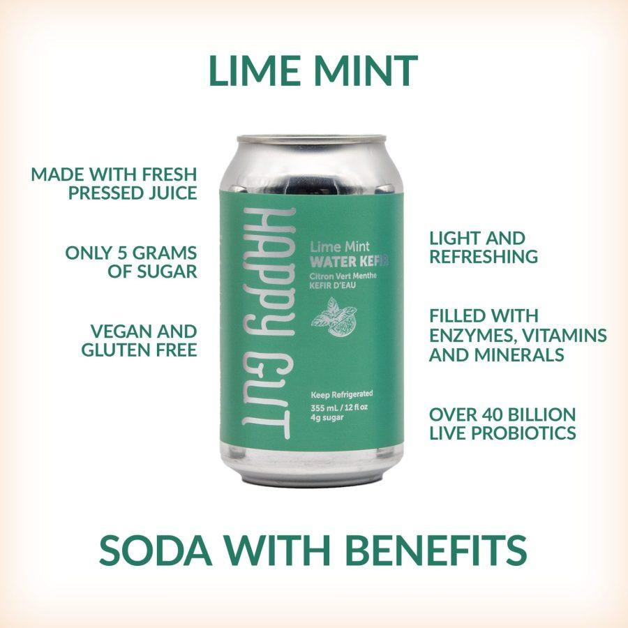 Lime Mint Canned Water Kefir - Happy Gut Pro