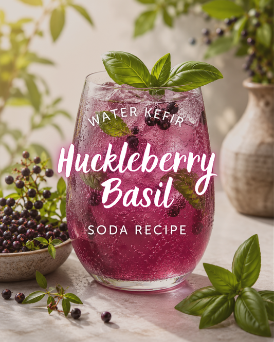 Huckleberry Basil Water Kefir Soda