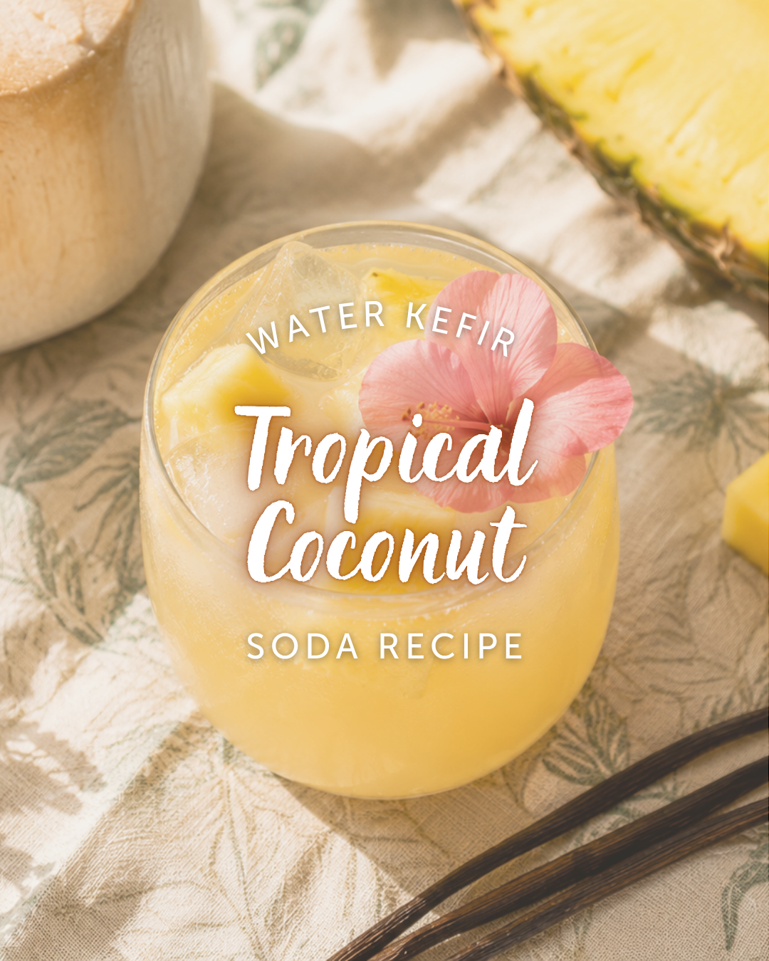 Tropical Coconut Water Kefir Soda Recipe