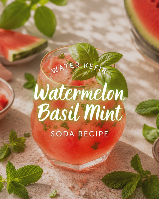 Watermelon Basil Mint Water Kefir Soda