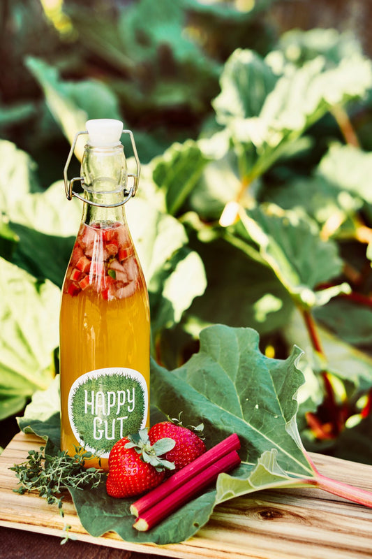 Strawberry Rhubarb Water Kefir Soda Recipe