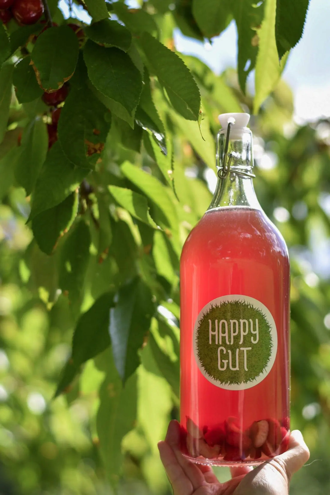 Cherry Vanilla Water Kefir Soda Recipe - Happy Gut Pro