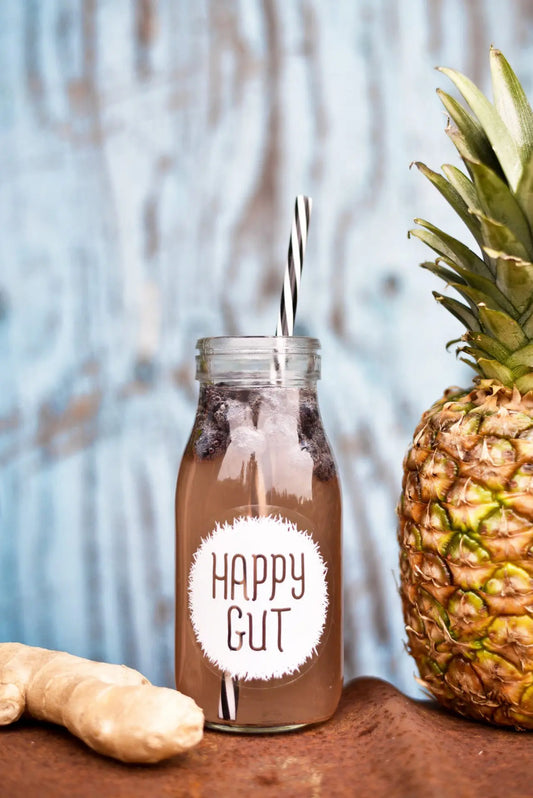 Blueberry Pineapple Ginger Water Kefir Soda Recipe - Happy Gut Pro