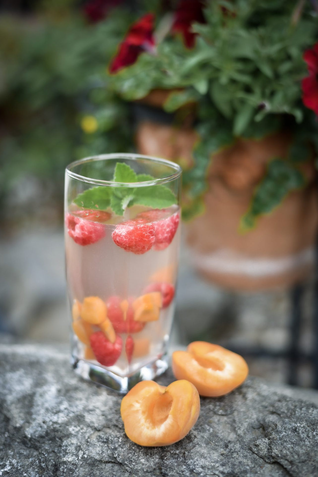 Apricot Raspberry Water Kefir Soda Recipe