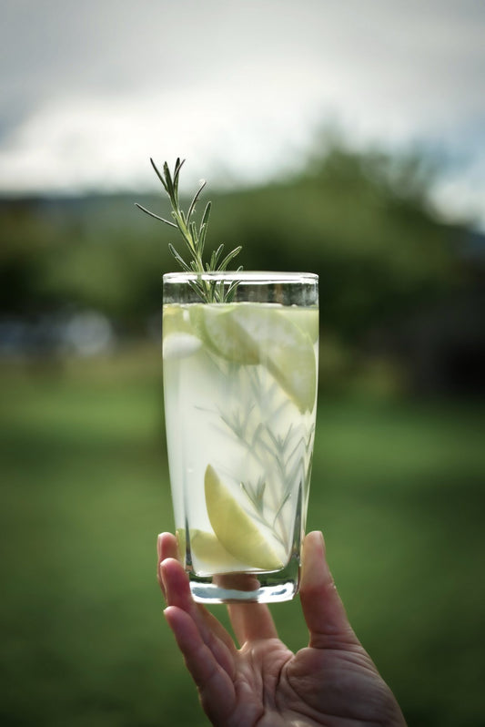 Apple Rosemary Water Kefir Soda Recipe