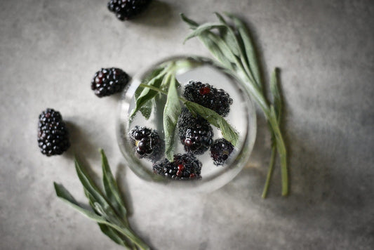 Blackberry Sage Water Kefir Soda Recipe