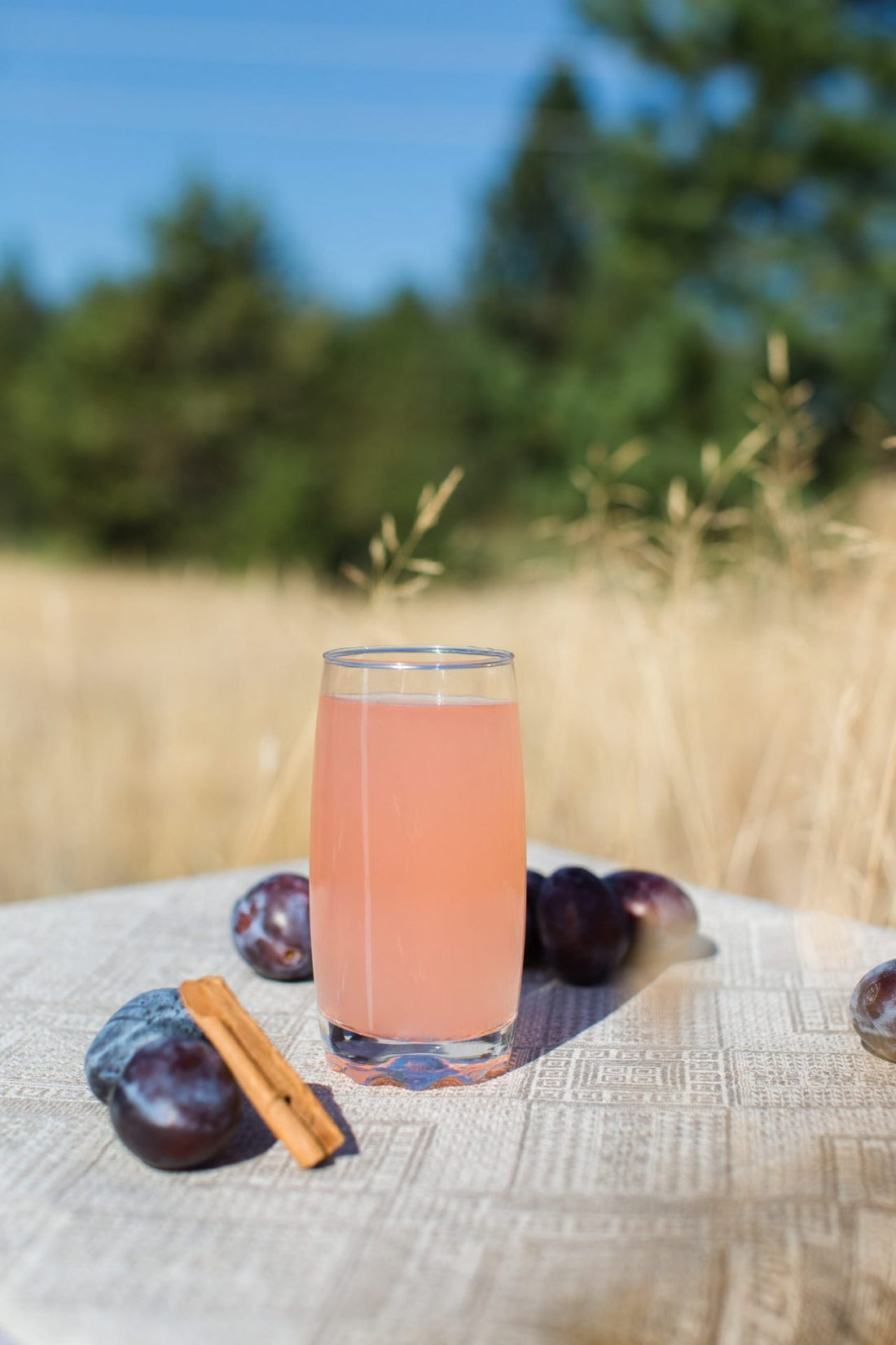 Plum Cinnamon Water Kefir Soda