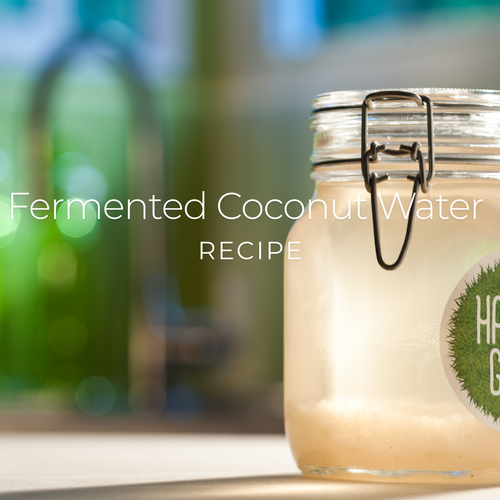 Fermented Coconut Water Kefir Recipe