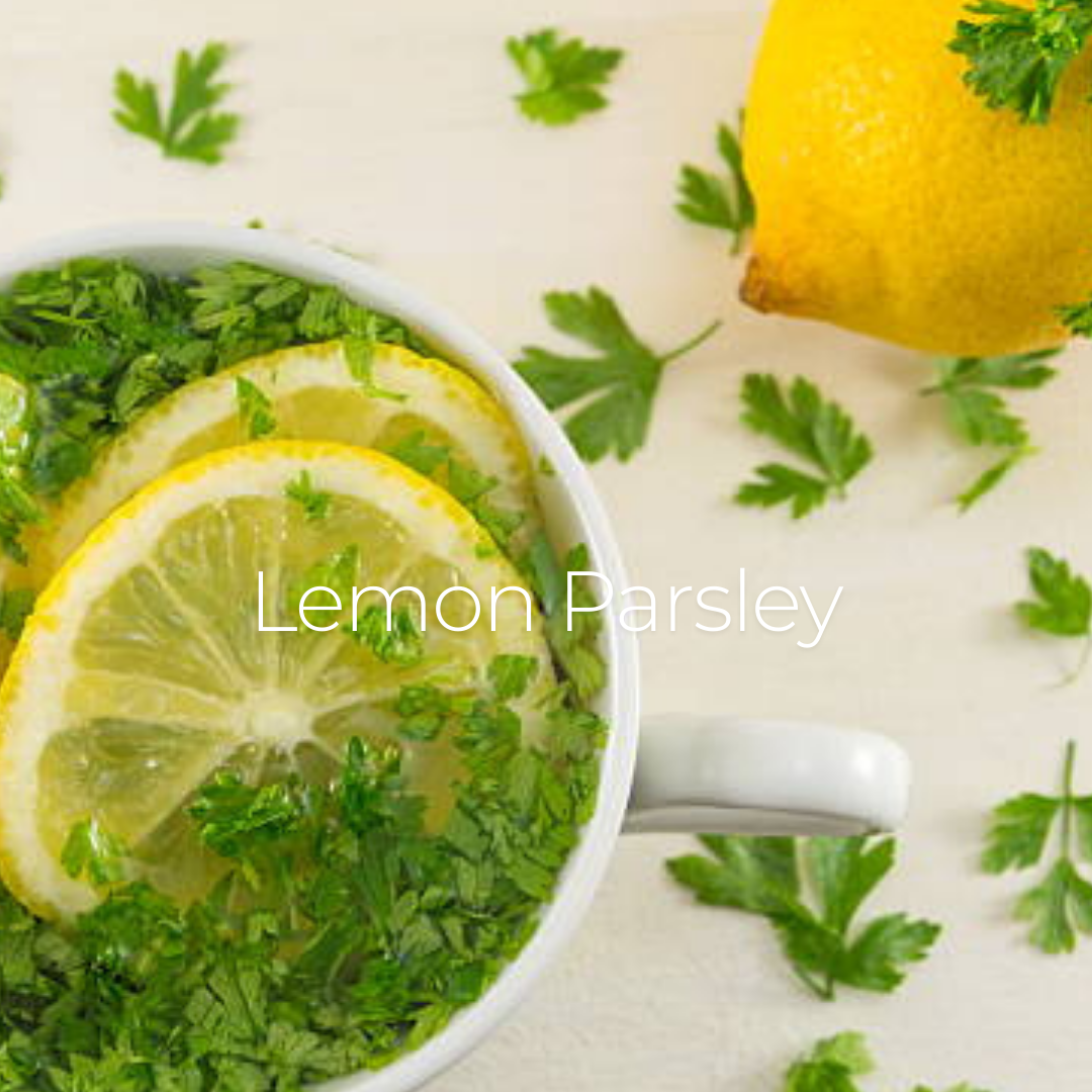 Lemon Parsley Water Kefir Soda Recipe