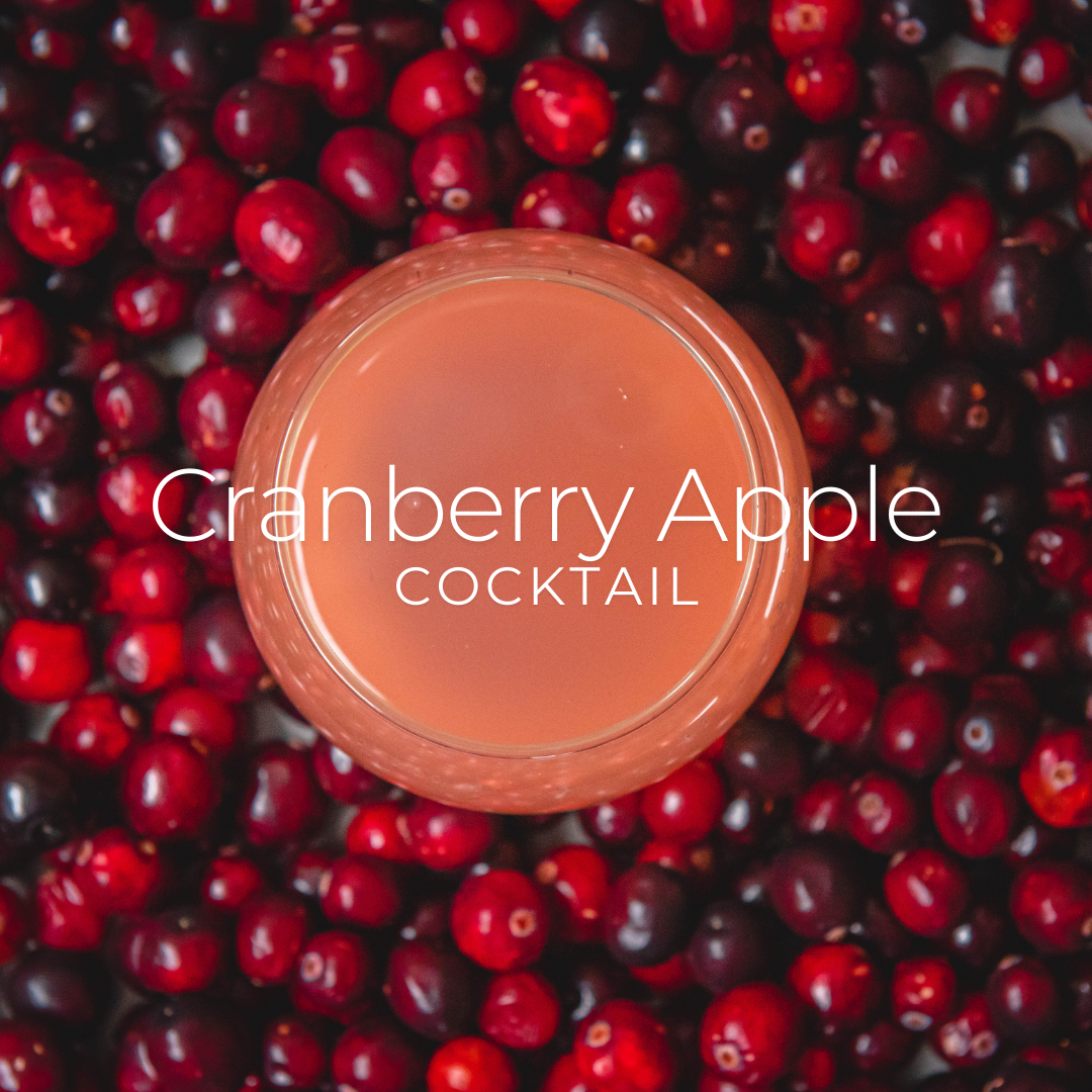 Cranberry Apple Spice Gin Fizz