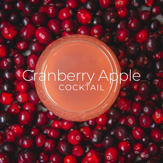 Cranberry Apple Spice Gin Fizz