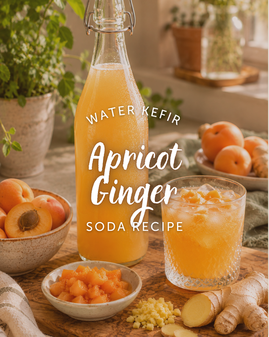 Apricot Ginger Water Kefir Soda