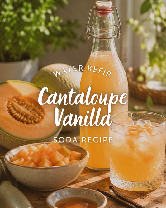 Cantaloupe Vanilla Water Kefir Soda