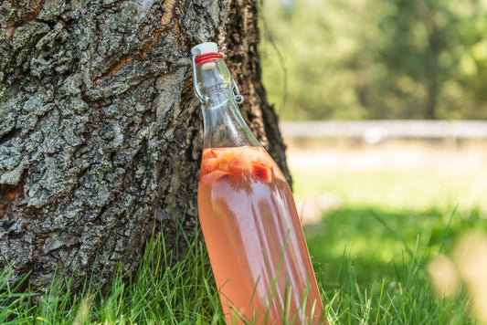 Plum Ginger Water Kefir Soda