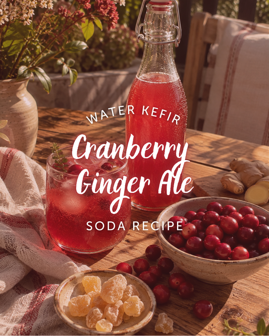 Cranberry Ginger Ale Water Kefir Soda