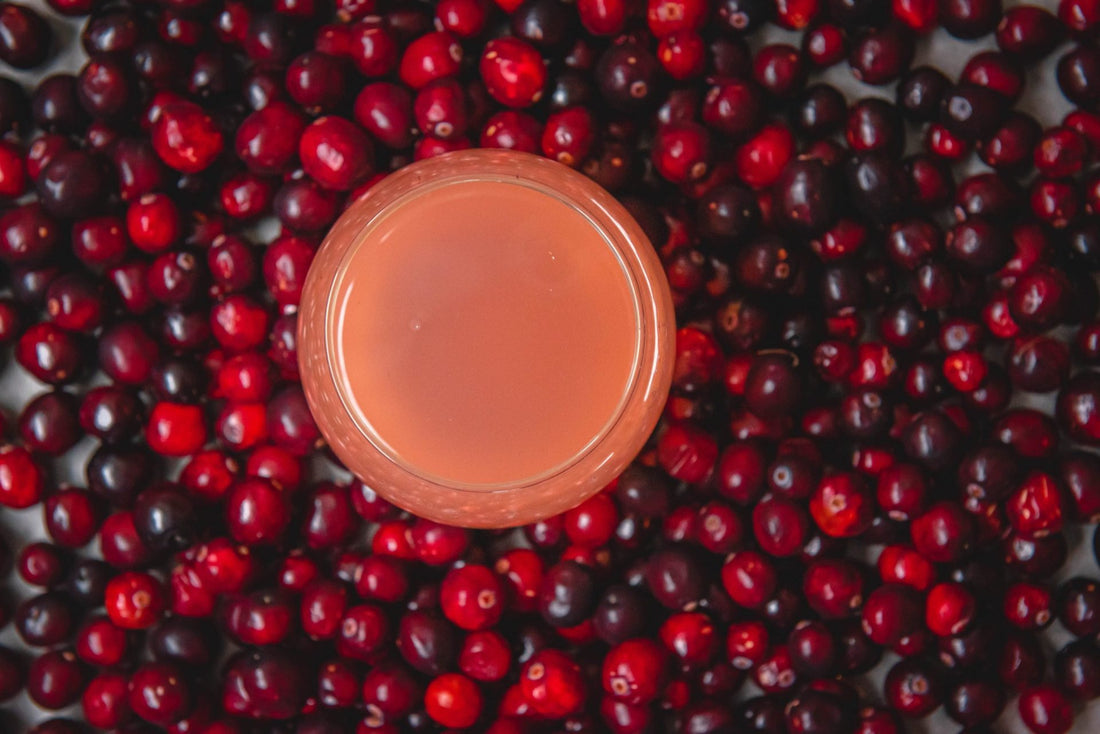 Cranberry Apple Spice Water Kefir Soda Recipe