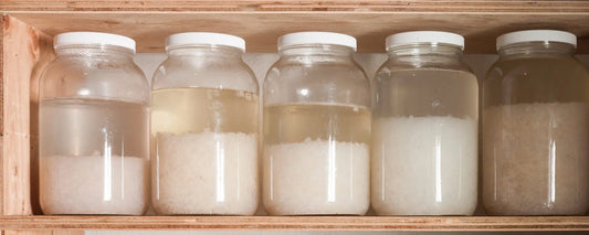 How To Make Big Batches Of Water Kefir