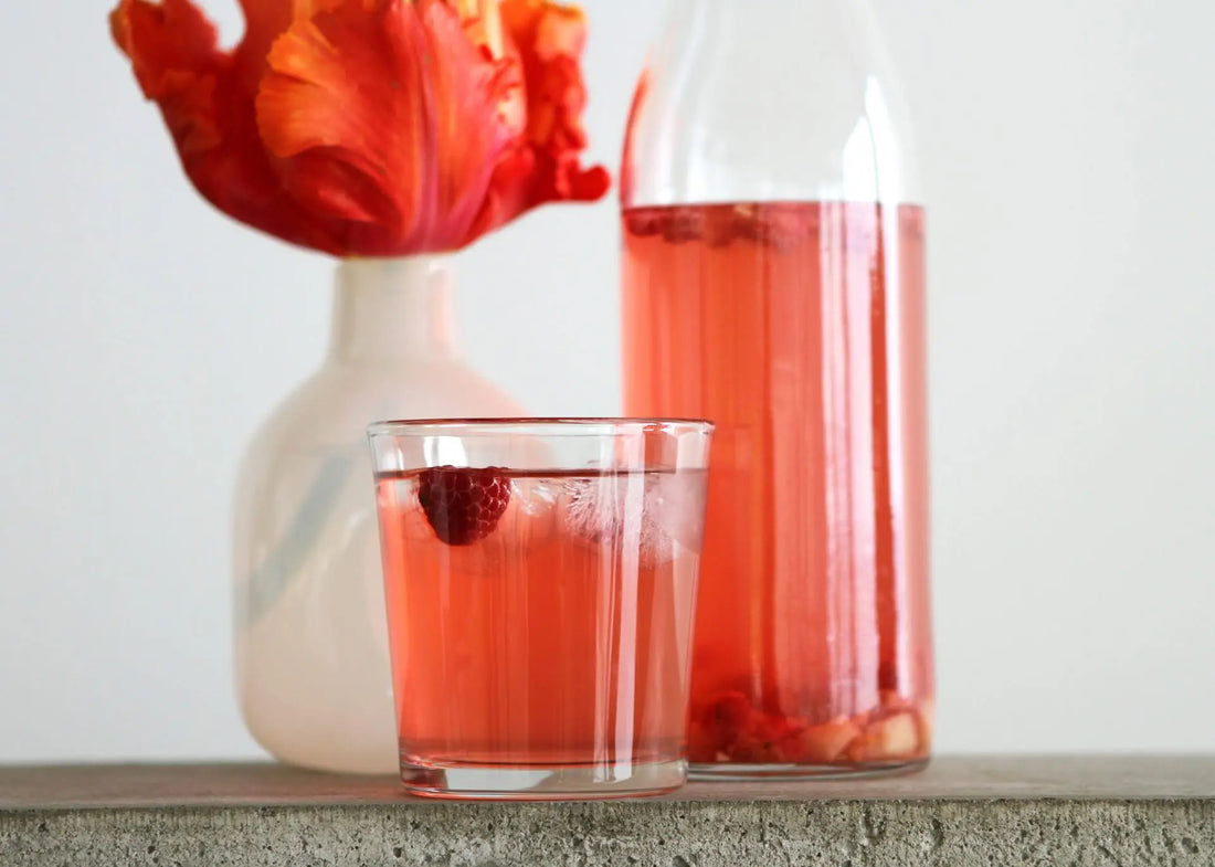 Raspberry Vanilla Water Kefir Soda Recipe - Happy Gut Pro