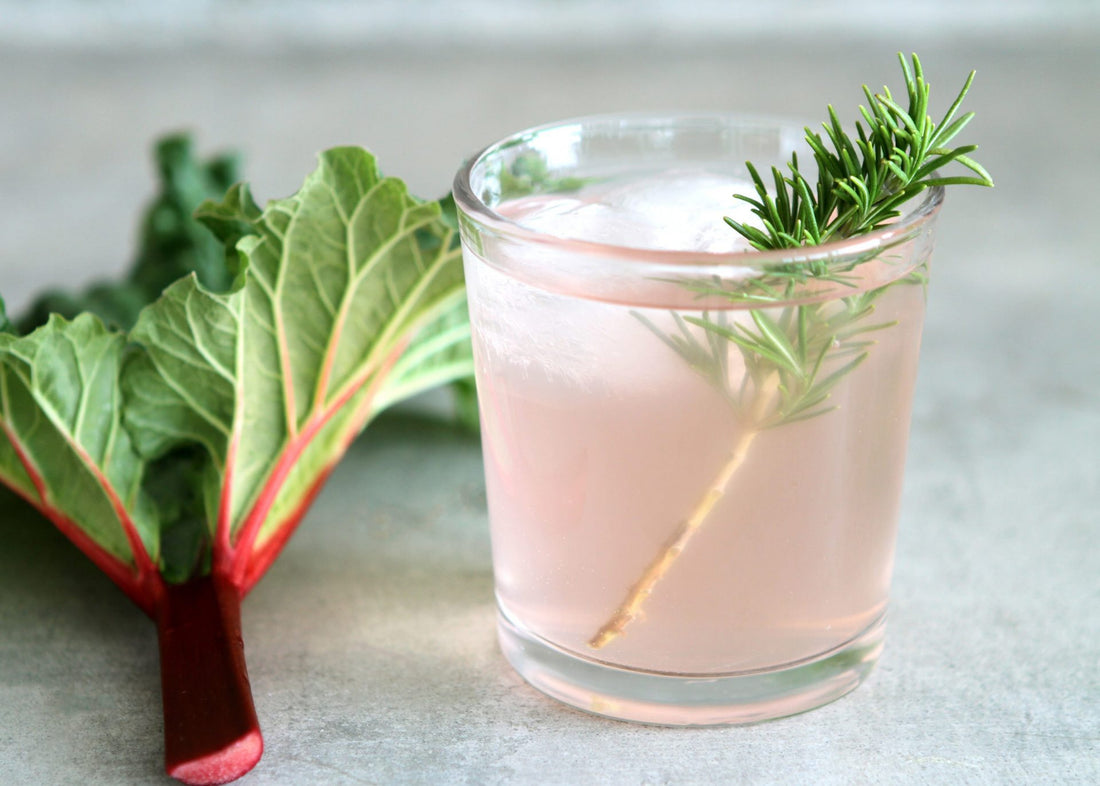 Rhubarb Rosemary Water Kefir Soda Recipe