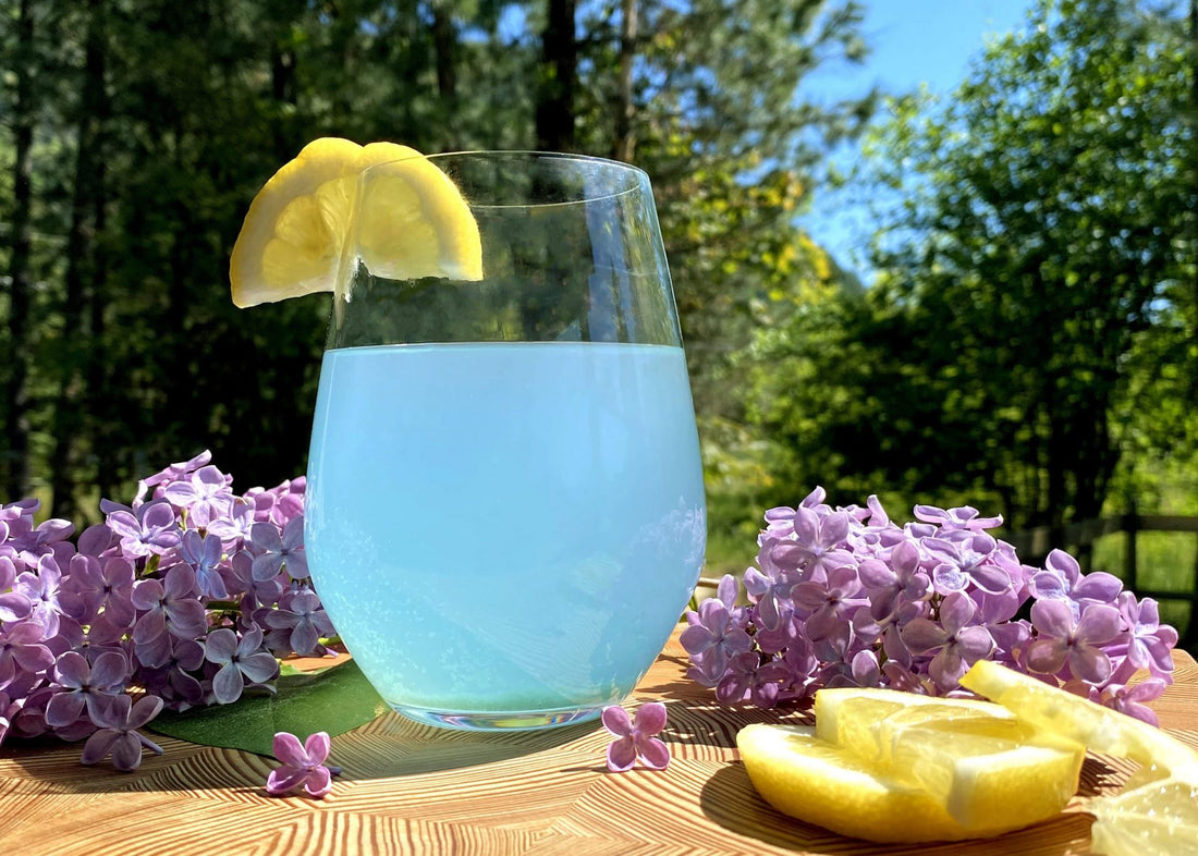 Lilac Lemon Water Kefir Soda Recipe