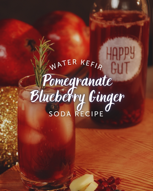 Pomegranate Blueberry Ginger Water Kefir Soda