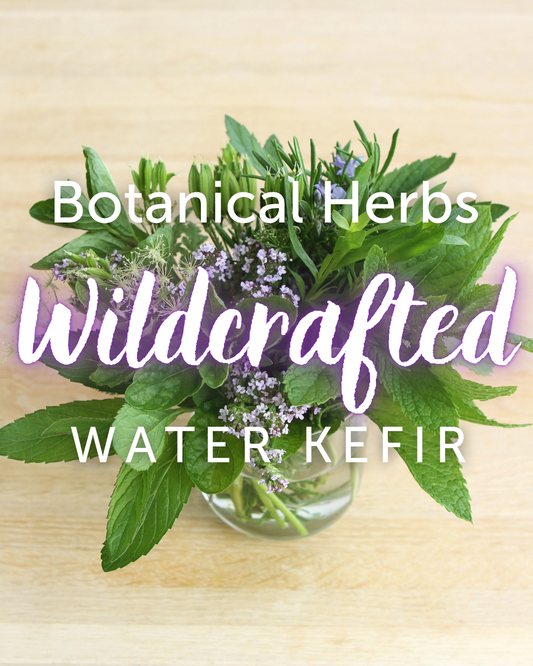 Botanical Herbs In Water Kefir Soda