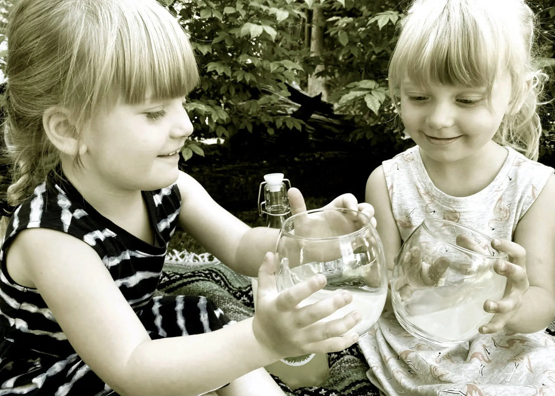 Water Kefir, Your Kids and Their Health