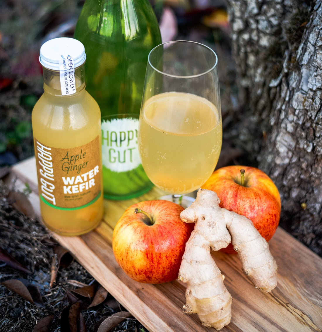 Apple Ginger Water Kefir Soda Recipe