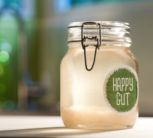 Fermented Coconut Water Kefir Recipe