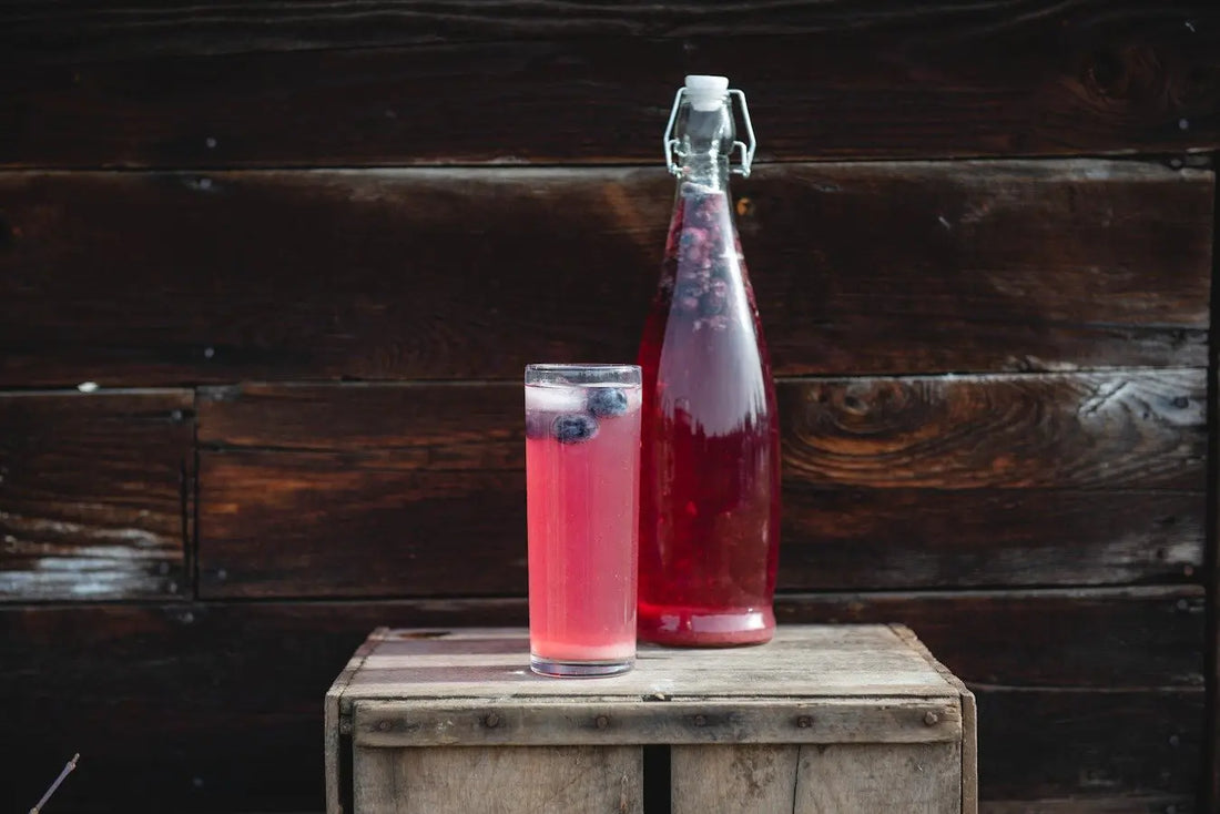 Maple Blueberry Water Kefir Soda - Happy Gut Pro