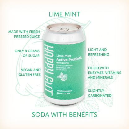 Lime Mint Canned Water Kefir **PICK-UP/DELIVERY ONLY**