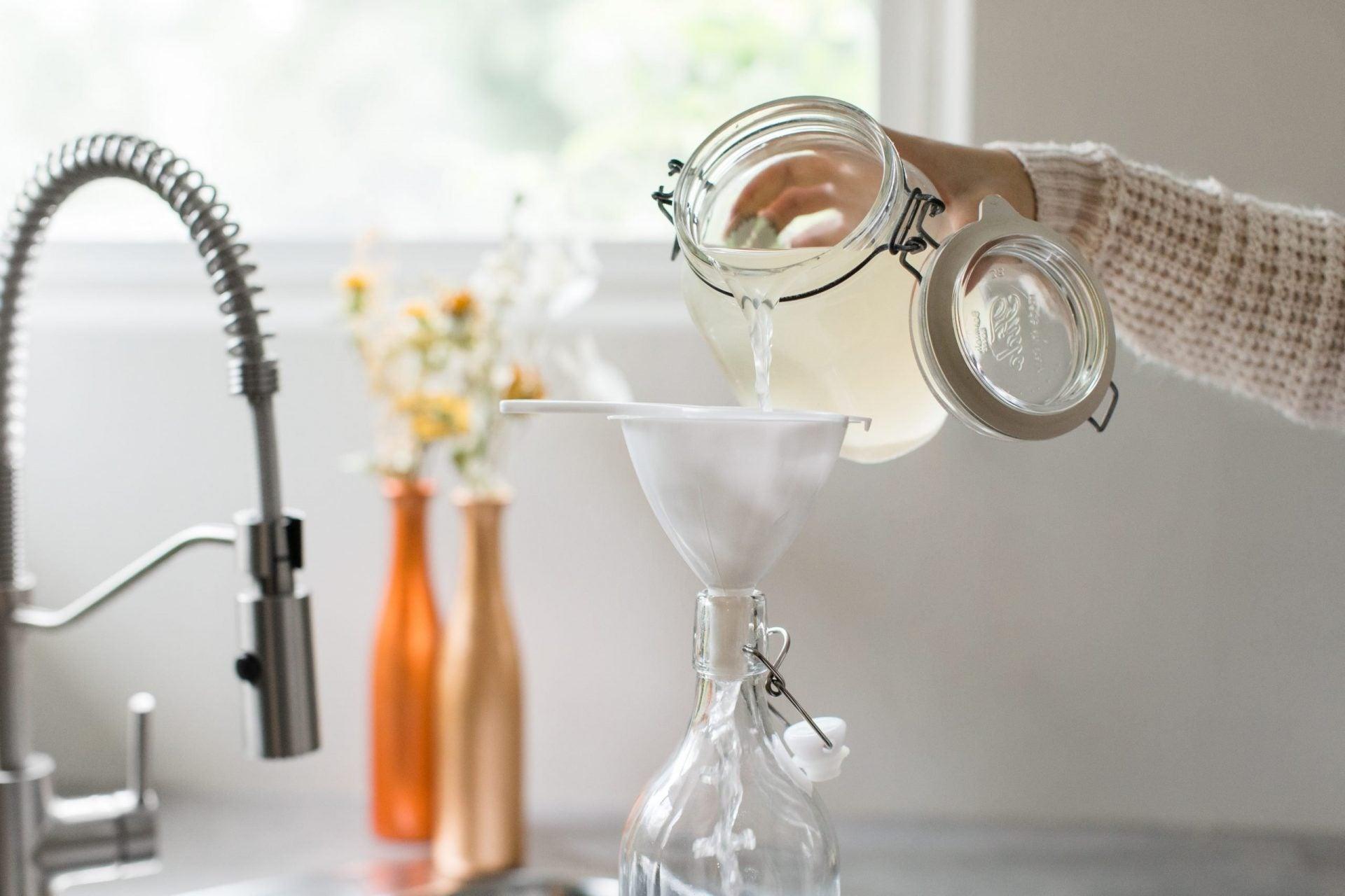 Water Kefir Grains - Happy Gut Pro