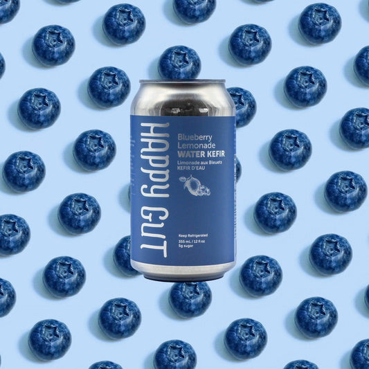 Blueberry Lemonade Canned Water Kefir - Happy Gut Pro