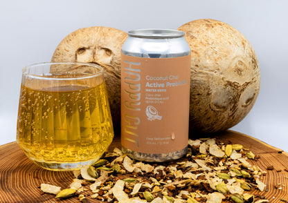 Coconut Chai Canned Water Kefir