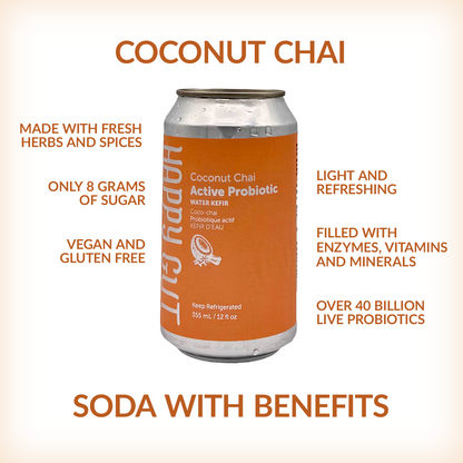 Coconut Chai Canned Water Kefir